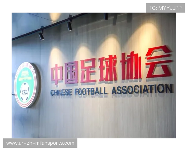 专家建议加强足球基础设施建设，深化足球改革方案